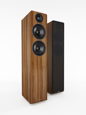 Напольная акустическая система Acoustic Energy AE 109 Walnut vinyl veneer (пара) Напольная акустическая система Acoustic Energy AE 109 Walnut vinyl veneer (пара)