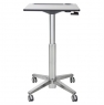 Офисный стол с ручной регулировкой по высоте Ergotron 24-481-003 LearnFit Sit-Stand Desk, Tall