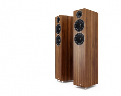 Напольная акустическая система Acoustic Energy AE 309 (пара) Напольная акустическая система Acoustic Energy AE 309 (пара)