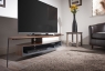 Тумба под телевизор Techlink Air Curve AC150WSG Тумба под телевизор Techlink Air Curve AC150WSG