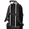 Рюкзак для ноутбука Case Logic Notion Backpack NOTIBP-116 Рюкзак для ноутбука Case Logic Notion Backpack NOTIBP-116