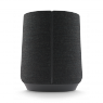 Беспроводная акустическая система Harman Kardon Citation 300 Беспроводная акустическая система Harman Kardon Citation 300