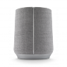 Беспроводная акустическая система Harman Kardon Citation 300 Беспроводная акустическая система Harman Kardon Citation 300