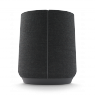 Беспроводная акустическая система Harman Kardon Citation 500