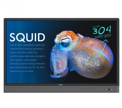 Сенсорный дисплей BenQ RP553K Сенсорный дисплей BenQ RP553K