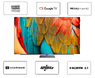 4K OLED телевизор Skyworth 77SXF9850 4K OLED телевизор Skyworth 77SXF9850